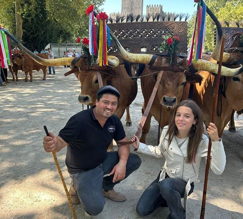 Feiras de Gado e Preparação de Terrenos em Guimarães