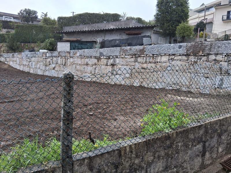 Limpeza de terreno agrícola na região do Minho